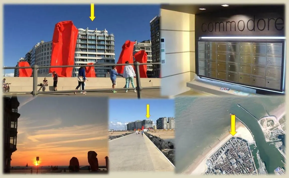 Aan Het Strand En Dijk - Topgebouw contacts